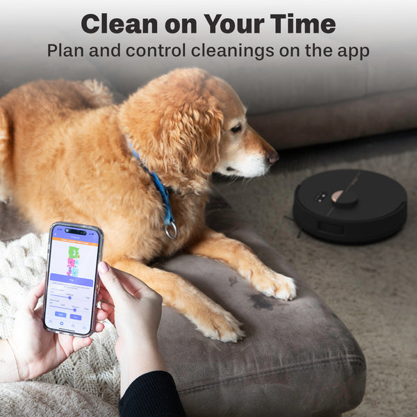 Dustin Plus Self-emptying Robot Vacuum & Mop
